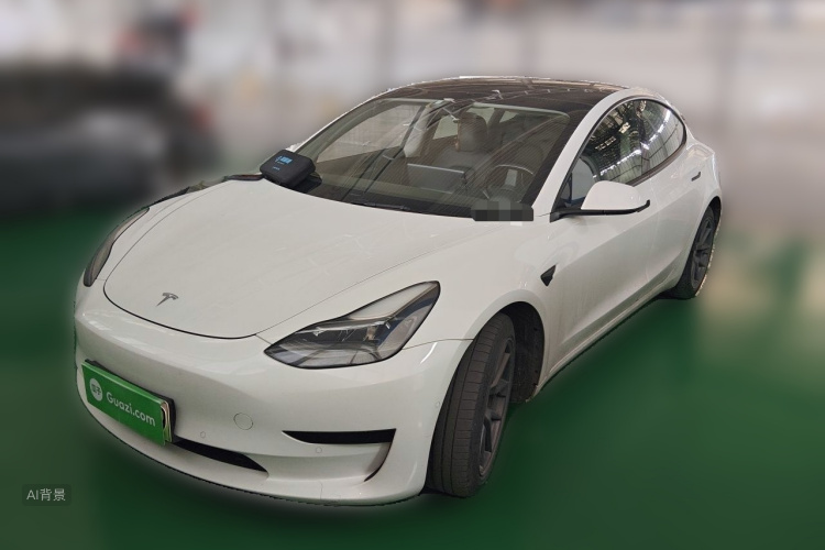 Tesla Model 3 2021 #2 Tesla Model 3 2021 car image #2