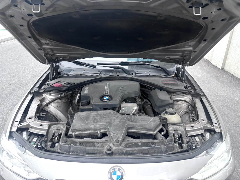 BMW 3 Series 2014 car image #6