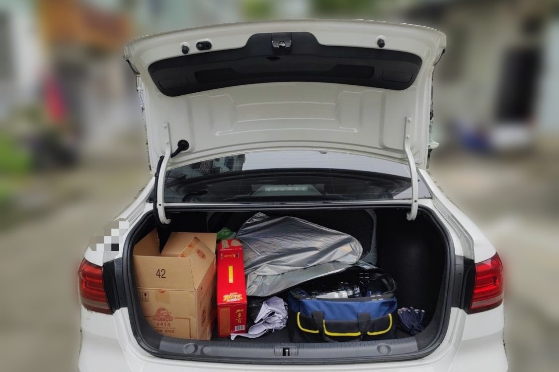 Volkswagen Lavida 2020 car image #8