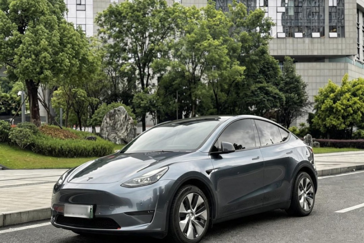 Tesla Model Y 2021 car image #2