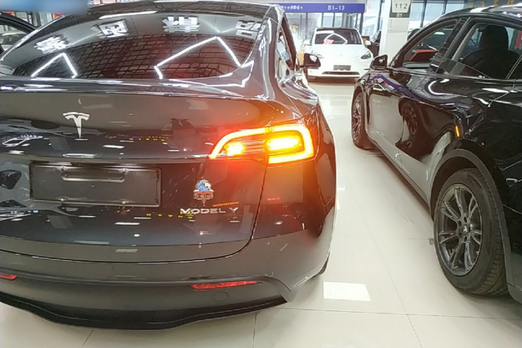 Tesla Model Y 2024 #8 Tesla Model Y 2024 car image #8