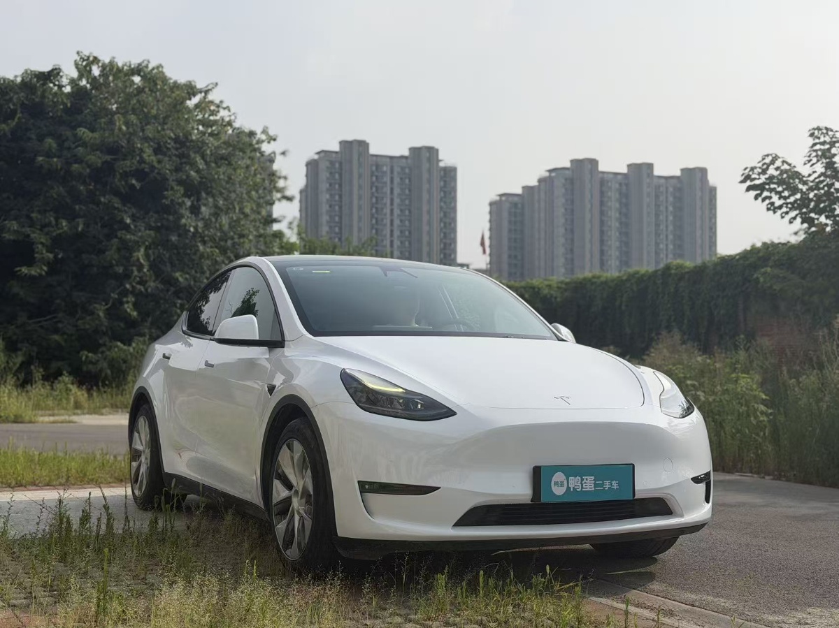 Tesla Model Y 2021 car image #3