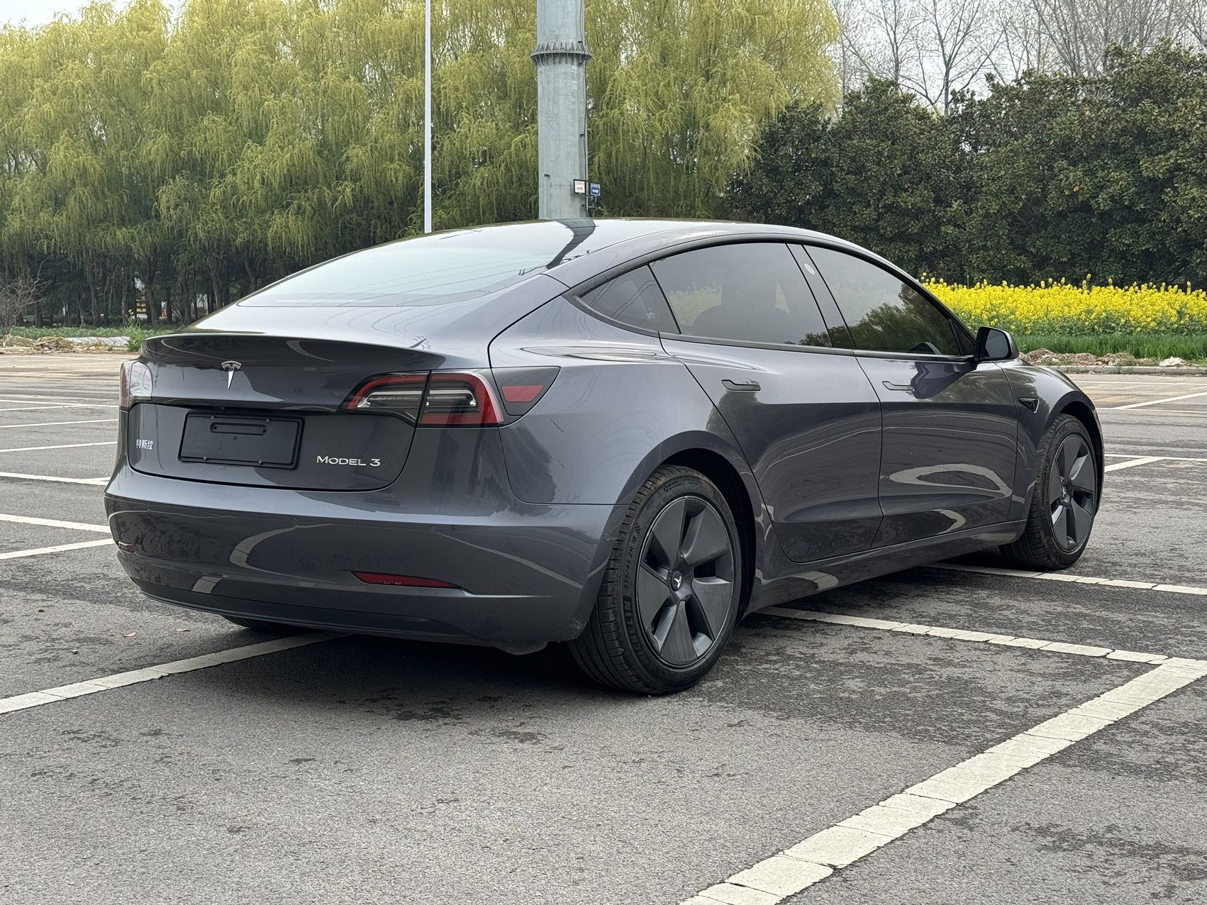 Tesla Model 3 2021 immagine di auto #8