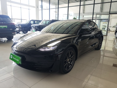 Tesla Model 3 2021 car image 