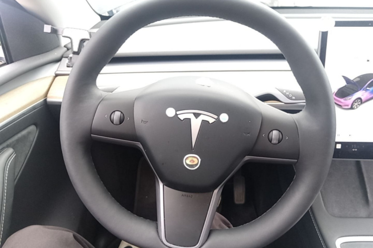 Tesla Model Y 2021 car image #11