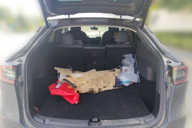 Tesla Model Y 2022 car image #17