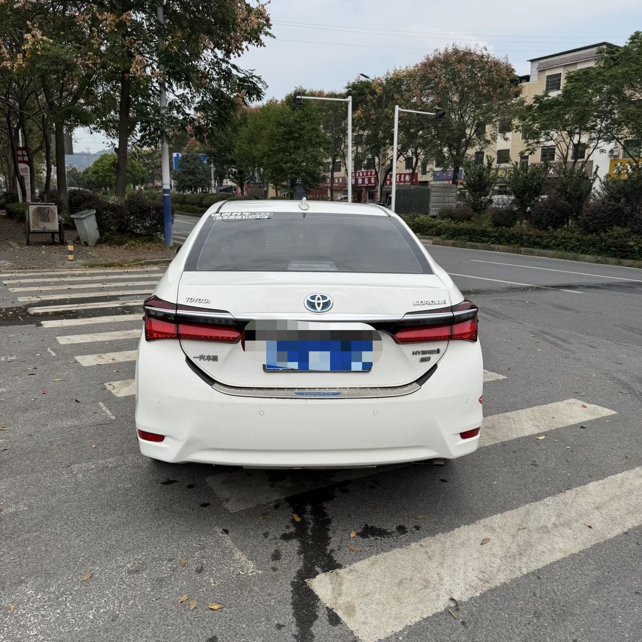 Toyota Corolla 2019 car image #6
