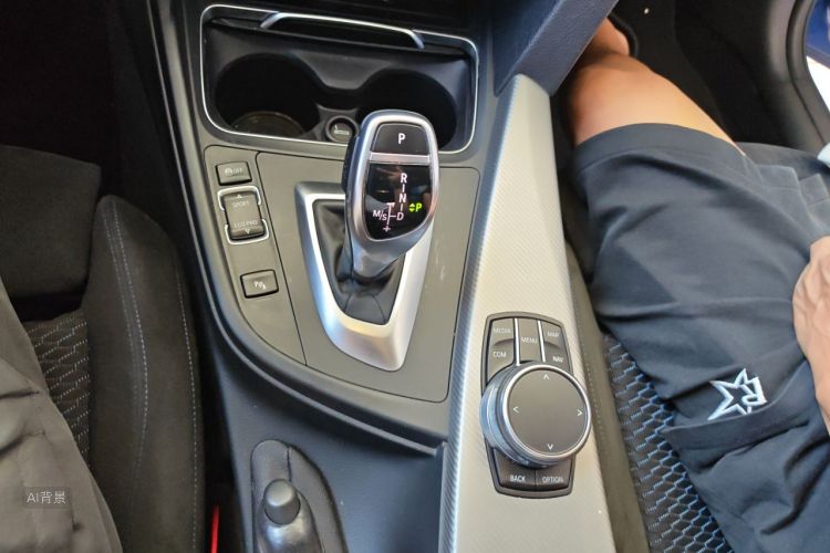 BMW 3 Series 2018 car image #16