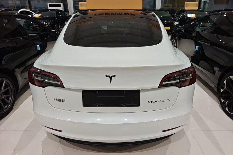 Tesla Model 3 2021 immagine di auto #6