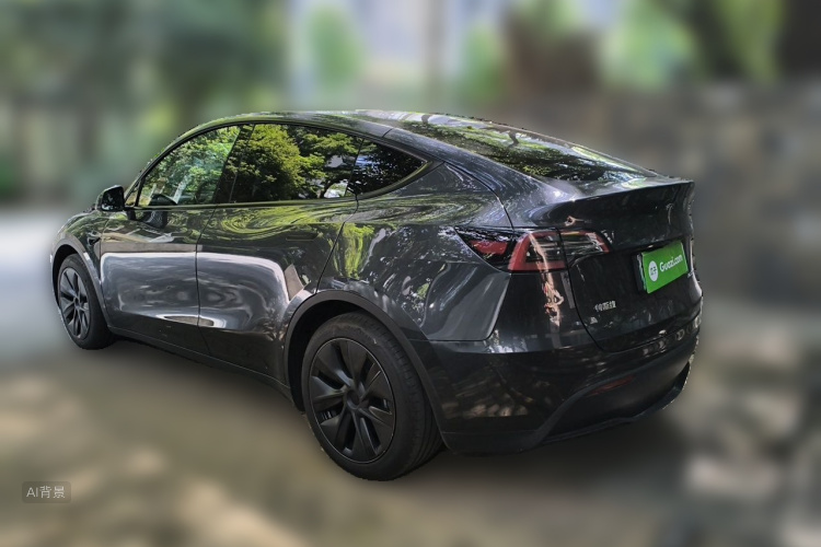 Tesla Model Y 2024 car image #5