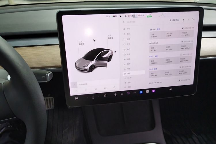 Tesla Model 3 2021 car image #13