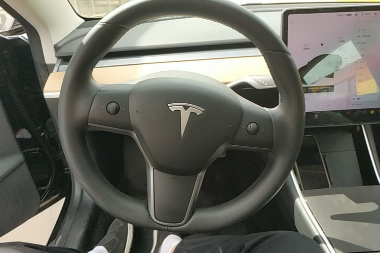 Tesla Model 3 2020 #11 Tesla Model 3 2020 car image #11