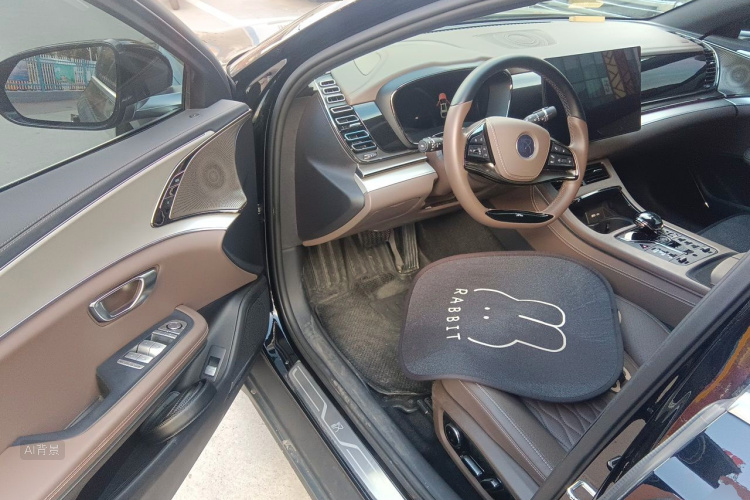 BYD Han 2024 car image #18