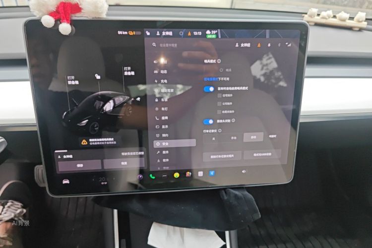Tesla Model 3 2020 car image #13