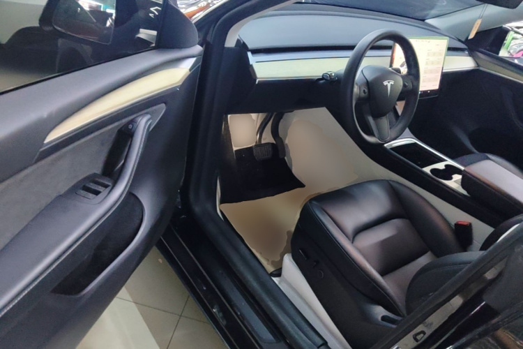 Tesla Model Y 2023 car image #12