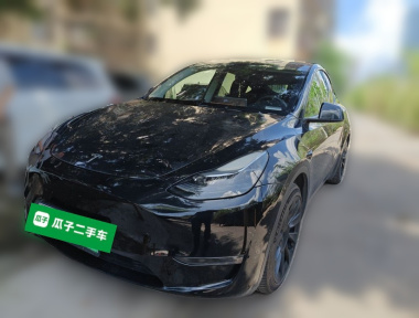 Tesla Model Y 2021 Tesla Model Y 2021 car image