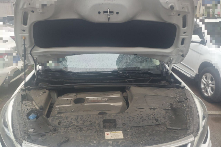 GEELY Emgrand GS 2019 #18 GEELY Emgrand GS 2019 car image #18