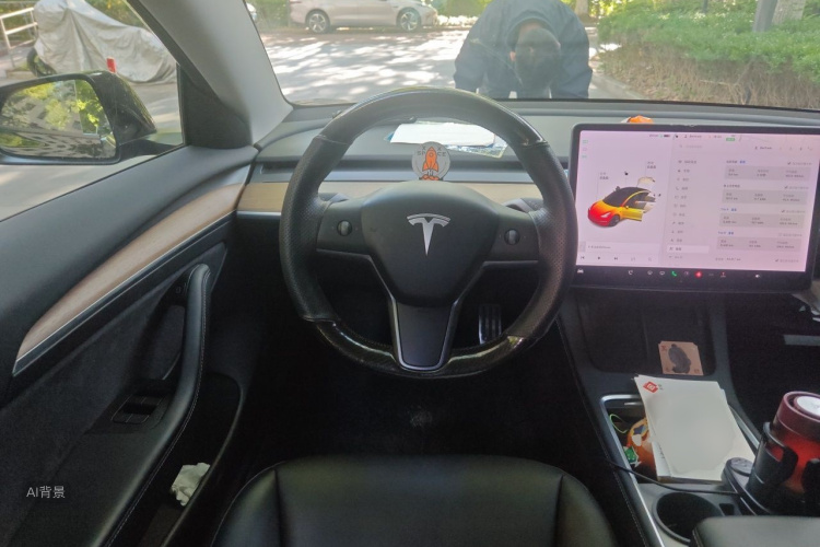 Tesla Model 3 2021 #12 Tesla Model 3 2021 car image #12