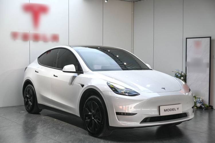 Tesla Model Y 2024 صورة سيارة #6