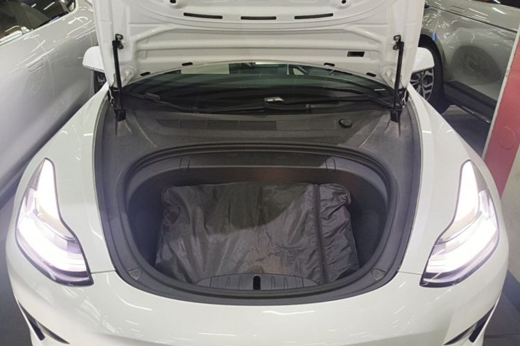 Tesla Model 3 2020 #20 Tesla Model 3 2020 car image #20