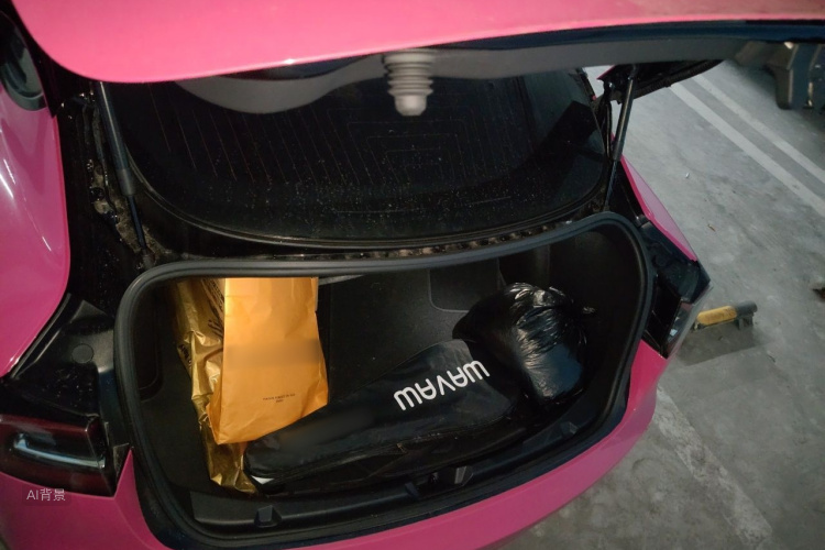 Tesla Model 3 2020 car image #21