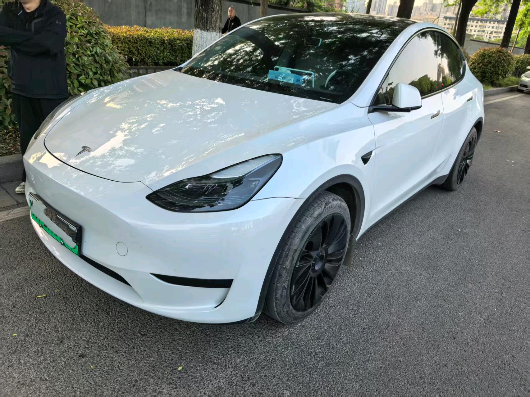 Tesla Model Y 2024 car image 