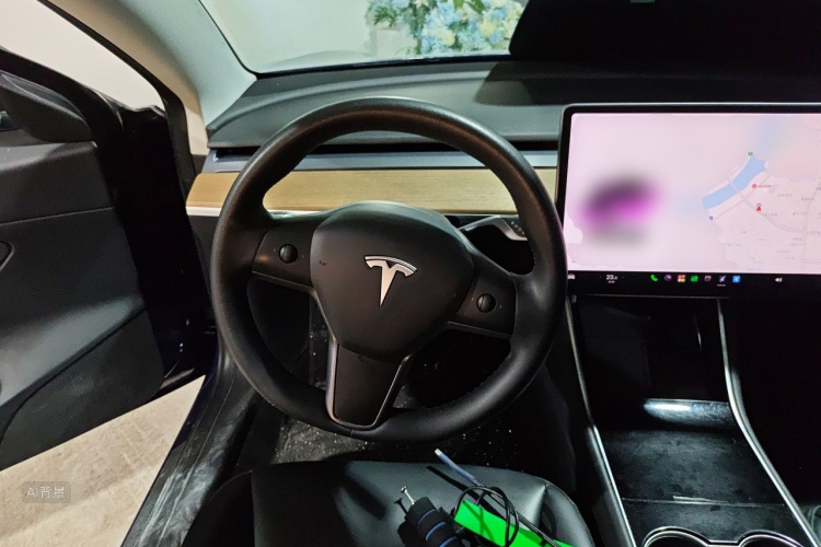 Tesla Model 3 2020 car image #12