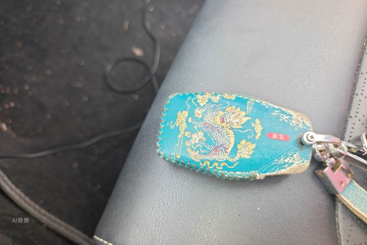 GEELY Emgrand 2021 imagem de carro #10