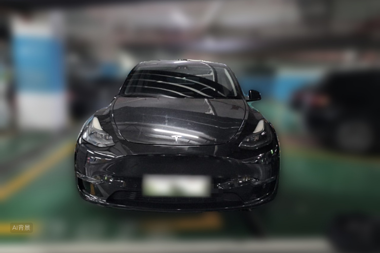 Tesla Model Y 2021 car image #3