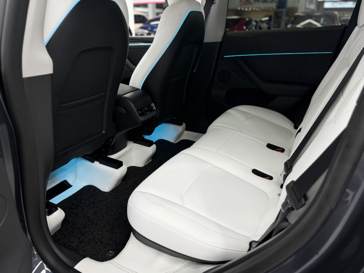 Tesla Model Y 2023 #7 Tesla Model Y 2023 car image #7