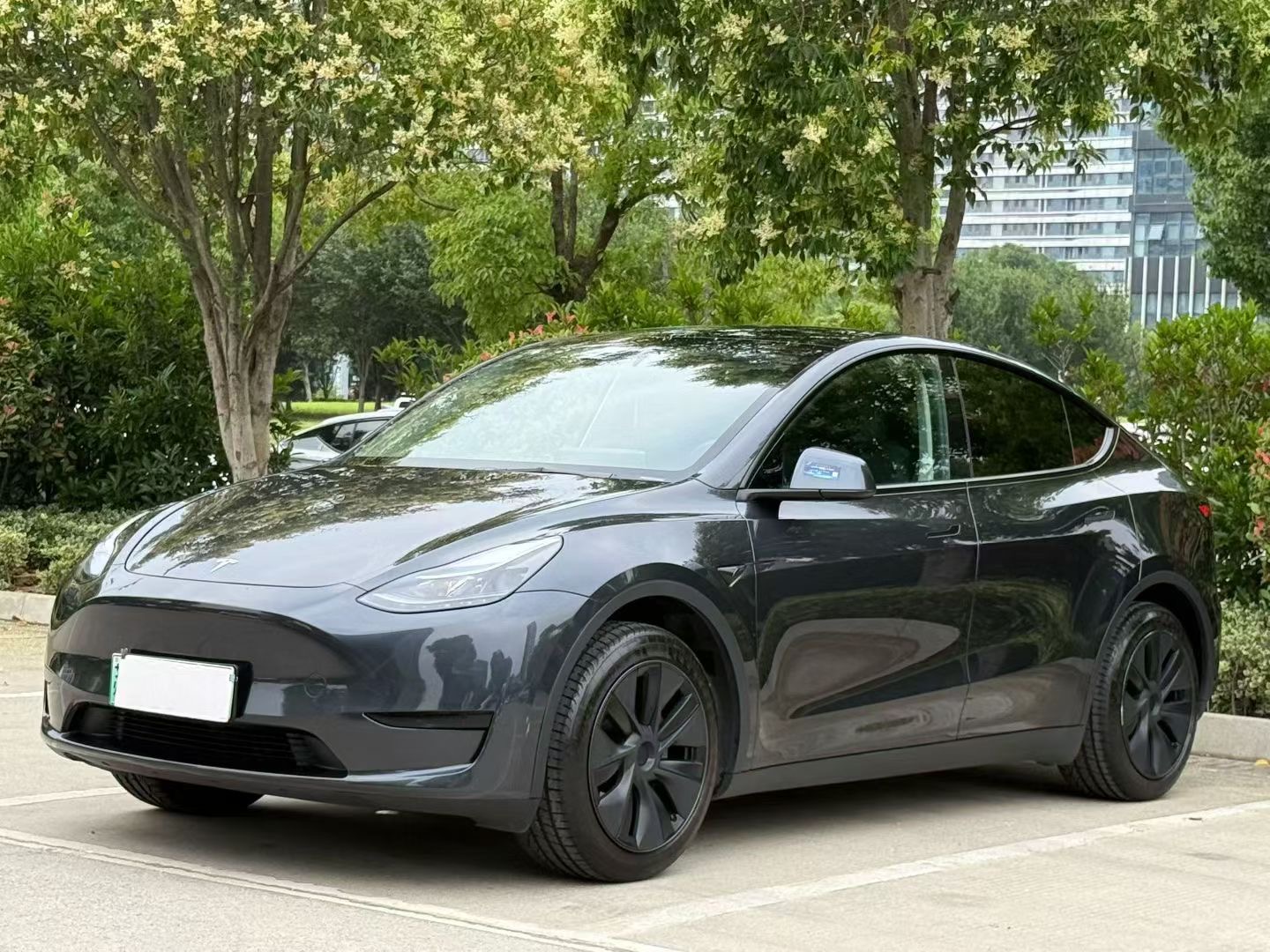 Tesla Model Y 2025 car image 