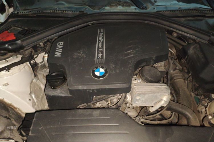 BMW 3 Series 2016 car image #22