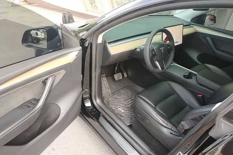 Tesla Model Y 2021 car image #16