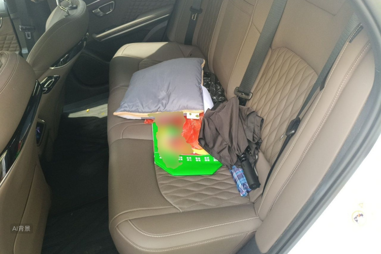 BYD Han 2023 car image #19