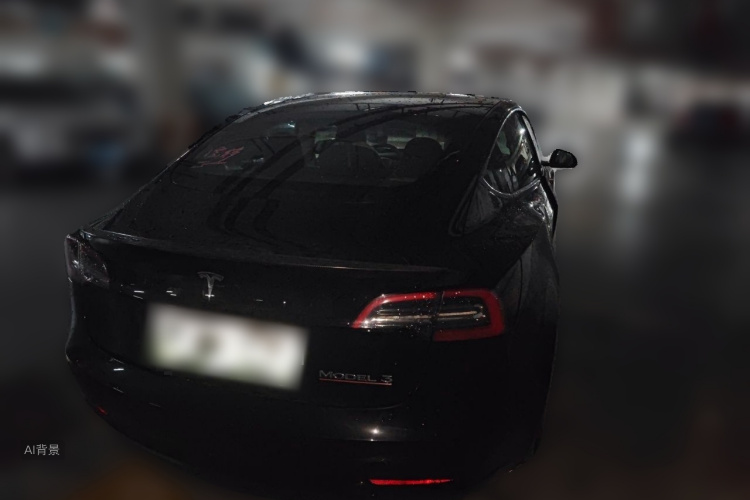 Tesla Model 3 2022 #7 Tesla Model 3 2022 car image #7