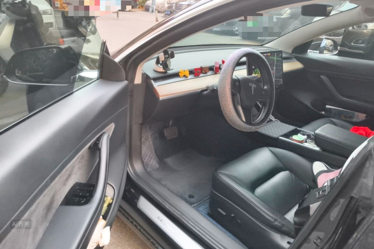 Tesla Model 3 2020 car image #18