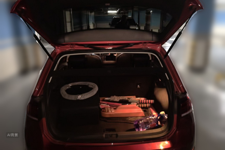 Volkswagen Golf 2019 car image #21