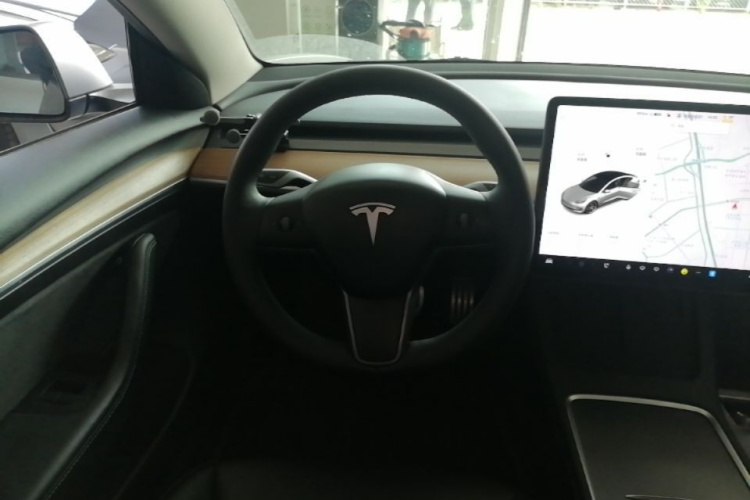 Tesla Model 3 2021 #11 Tesla Model 3 2021 car image #11