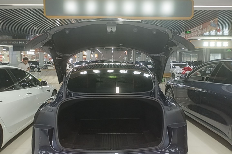 Tesla Model 3 2024 #19 Tesla Model 3 2024 car image #19