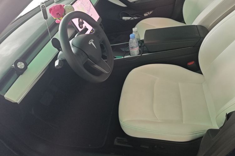 Tesla Model 3 2020 #15 Tesla Model 3 2020 car image #15