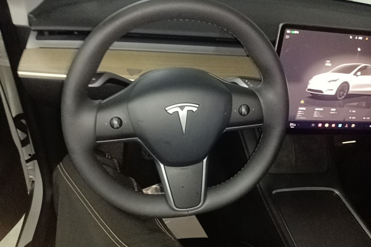 Tesla Model Y 2023 #11 Tesla Model Y 2023 car image #11