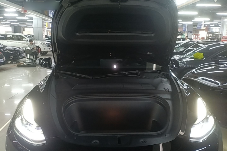 Tesla Model Y 2022 car image #20