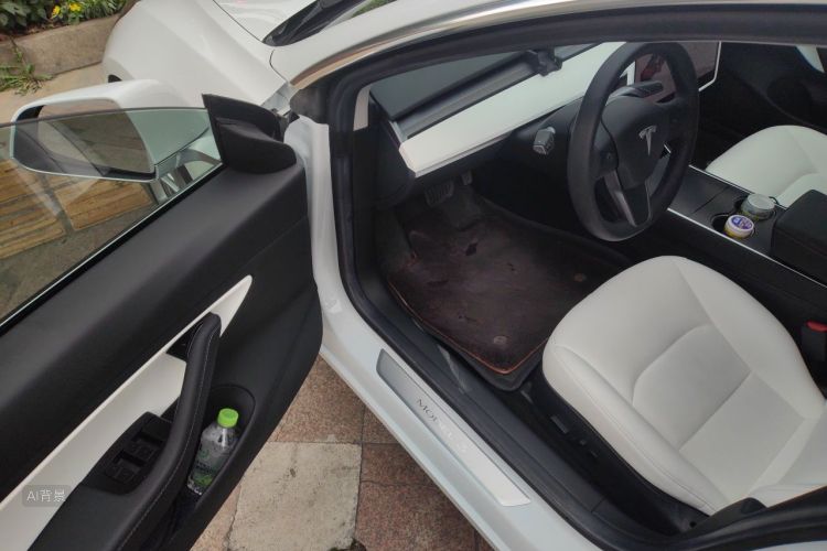 Tesla Model 3 2020 #18 Tesla Model 3 2020 car image #18