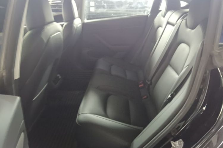 Tesla Model 3 2020 #13 Tesla Model 3 2020 car image #13