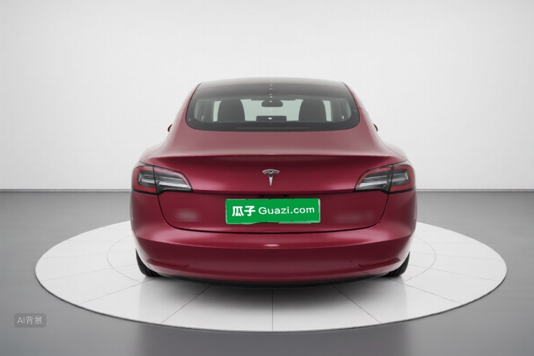 Tesla Model 3 2021 car image #6