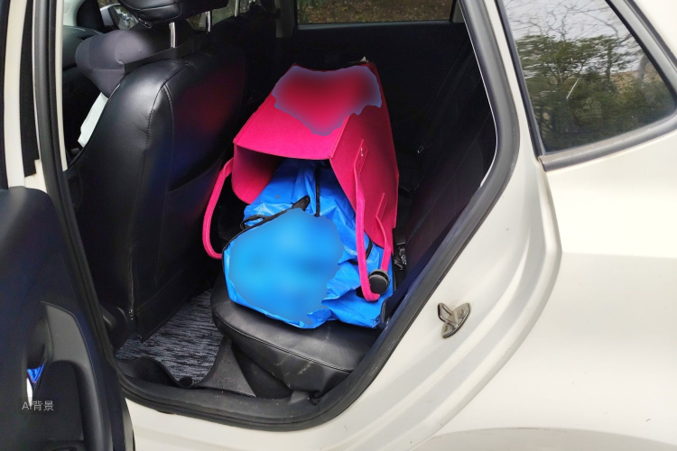 Volkswagen Polo 2017 car image #19