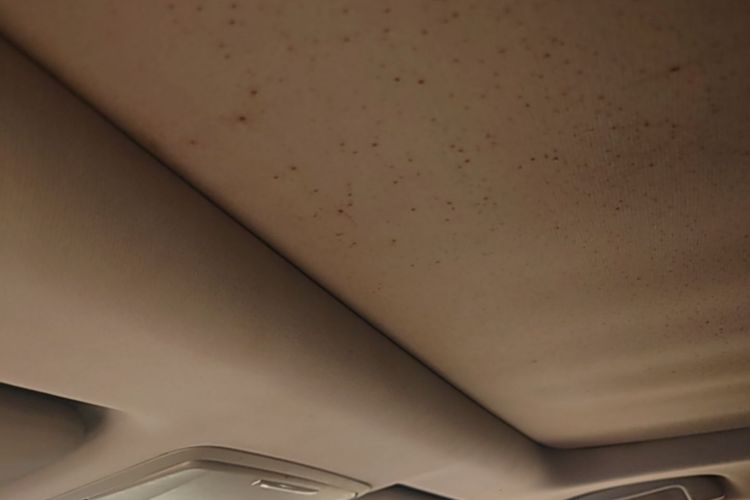 Honda CR-V 2017 #18 Honda CR-V 2017 car image #18