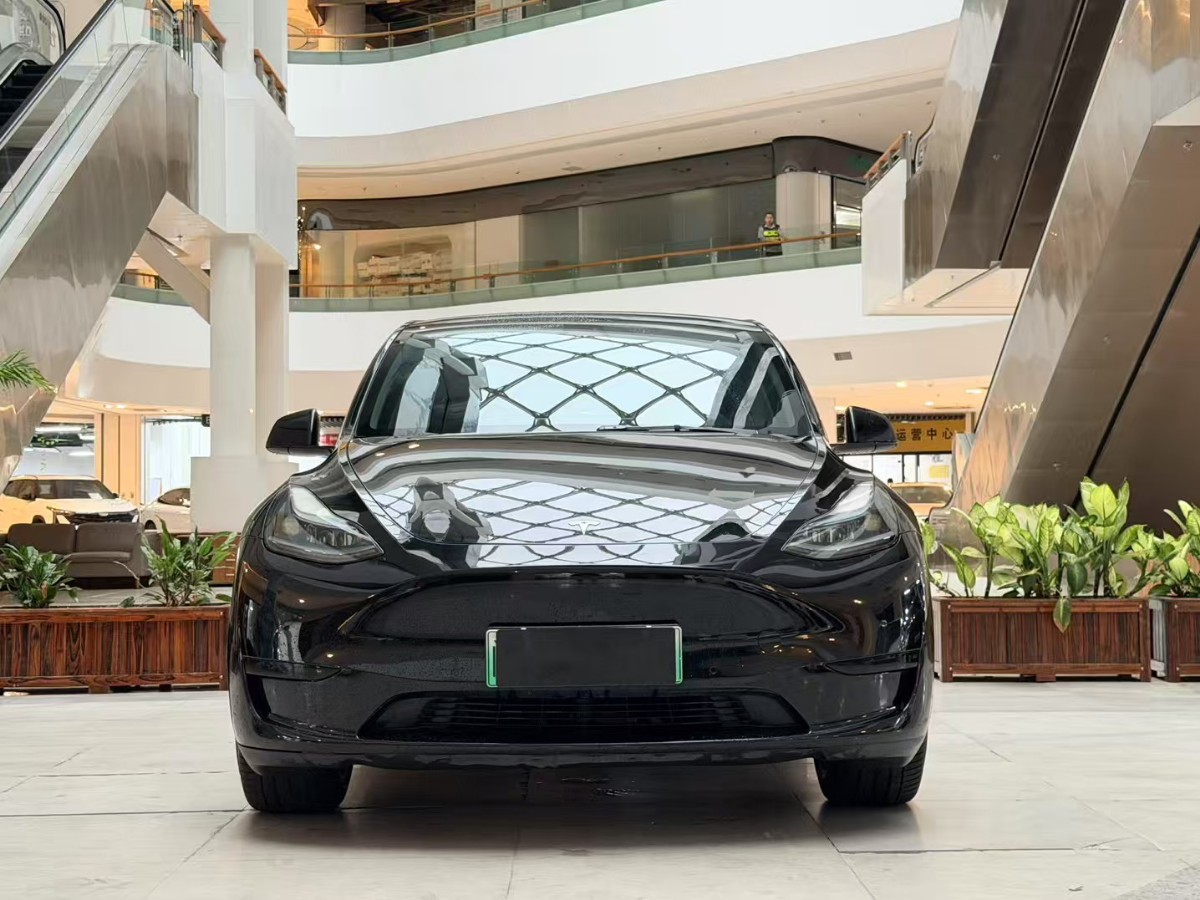 Tesla Model Y 2022 #2 Tesla Model Y 2022 car image #2