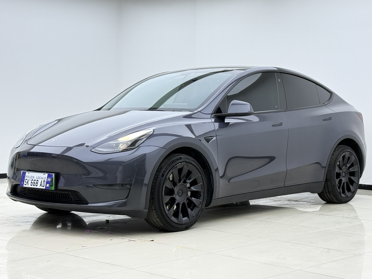 Tesla Model Y 2021 Tesla Model Y 2021 car image