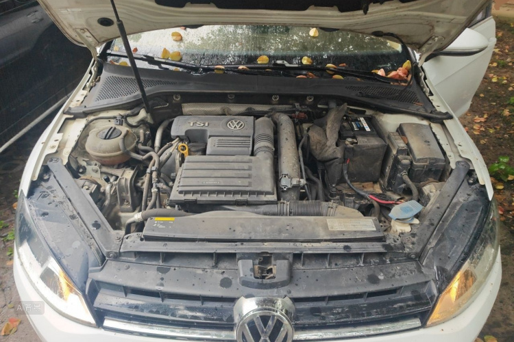 Volkswagen Golf 2017 #22 Volkswagen Golf 2017 car image #22